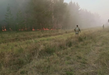 Әулиекөлде орман өртінен зардап шеккендерге арналған үйлердің құрылысы аяқталды