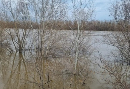 Жайық өзеніндегі су деңгейі Оралда бір тәулікте 13 сантиметрге көтерілді