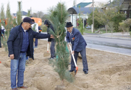 Шымкентте өткен сенбілікте көшет отырғызылды