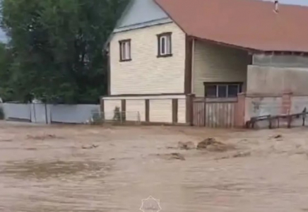 Алматы облысында сел жүріп, үйлерді су басты