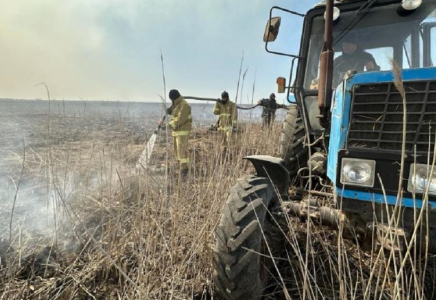 Атырау облысында бес күн бойы жанған қамыс өрті сөндірілді