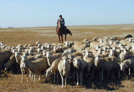 Қазақстанның күнтізбесінде малшылар күні пайда болады