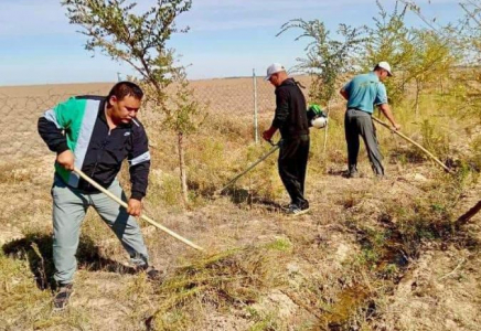 ТҮРКІСТАН: Созақтағы тазалық шарасына екі мыңнан астам адам қатысты