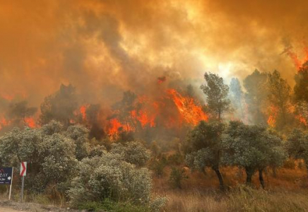 Түркияда орман өртіне байланысты ауыл тұрғындары көшіріліп жатыр