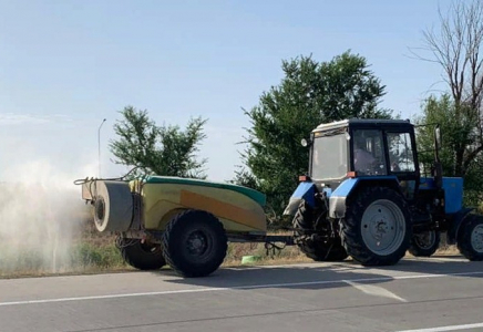 ​Шымкентте үйірлі шегірткелерге қарсы күрес шаралары басталды