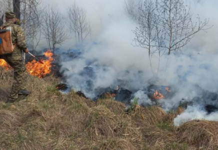 Шығыс Қазақстан облысындағы орман өрті әлі сөндірілмеді