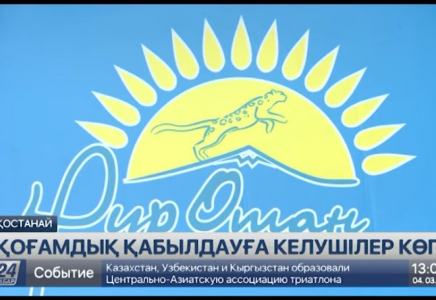 ​Қазақстандықтар Nur Otan партиясына қандай арыз-шағымдармен барады