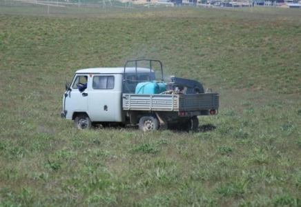 ТҮРКІСТАН: Марокко шегірткесіне қарсы күрес жұмыстары жүріп жатыр