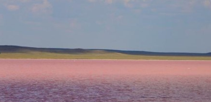 Ақмола облысының әкімі Көбейтұзды қорғауға қатысты пікір білдірді