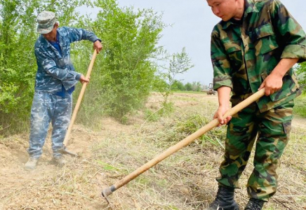 «ЖАСЫЛ АЙМАҚ»: Орман шаруашылығы ұжымы тазалық акциясына қатысты