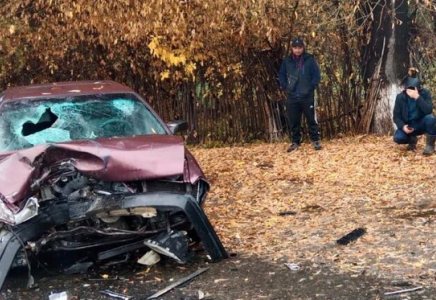 Жетісу облысында Audi жүк көлігімен соқтығысып, төрт бала зардап шекті