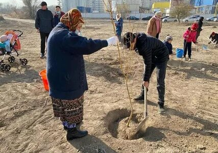 Алматыда көпбалалы аналардың аллеясы пайда болды