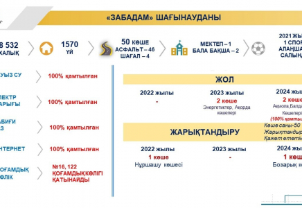 ШЫМКЕНТ: Нұршашу көшесі биыл жарықтандырылады