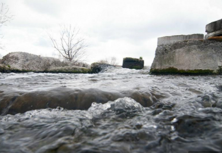 Өзенге ағып кеткен 3 жасар бүлдіршінді бейтаныс азамат құтқарып қалды  