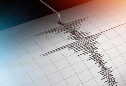 Қырғызстанда 4,6 балдық жер сілкінісі болды