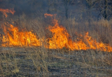 Жамбыл облысында төтеншеліктер таудағы өртпен арпалысып жатыр