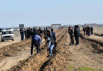 ТҮРКІСТАН: Созақта «Жасыл белдеу» аймағы ұлғайып жатыр