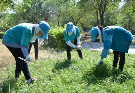 ​Кентаулық жастар жазғы демалысты еңбекпен өткізуде