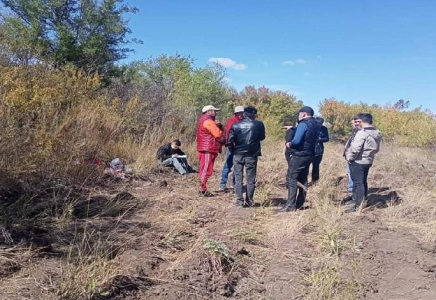 Ақмола облысында ауруханадан шыққан әйелдің денесі орман алқабынан табылды